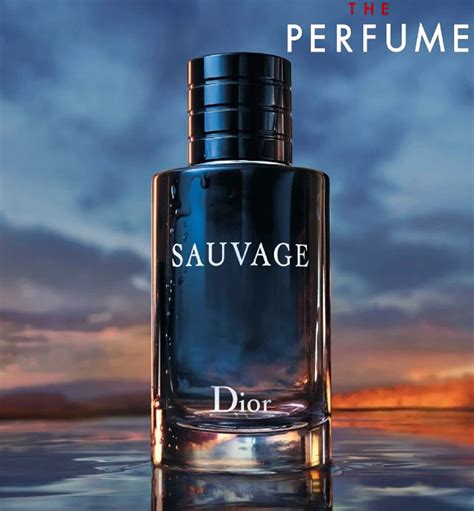 review nước hoa dior addict|giá nước hoa dior sauvage.